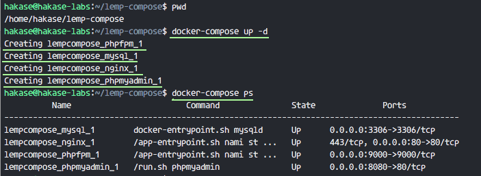 Docker mysql server 5.6